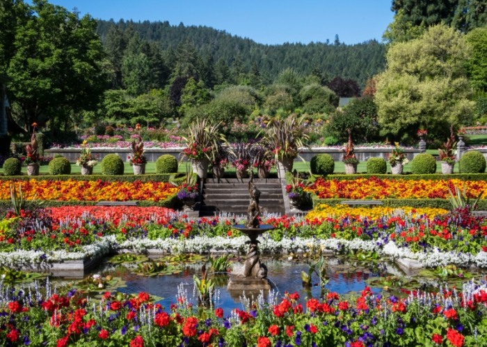 Unique things to do on Vancouver Island Unique things to do on Vancouver Island
